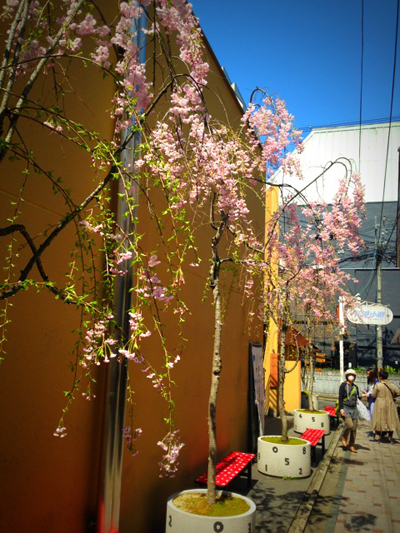 20140401-IMG_7181.jpg
