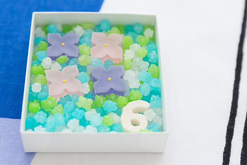 20140524-140525wasanbon_osusume.jpg