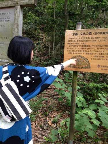 20140526-m004.jpg