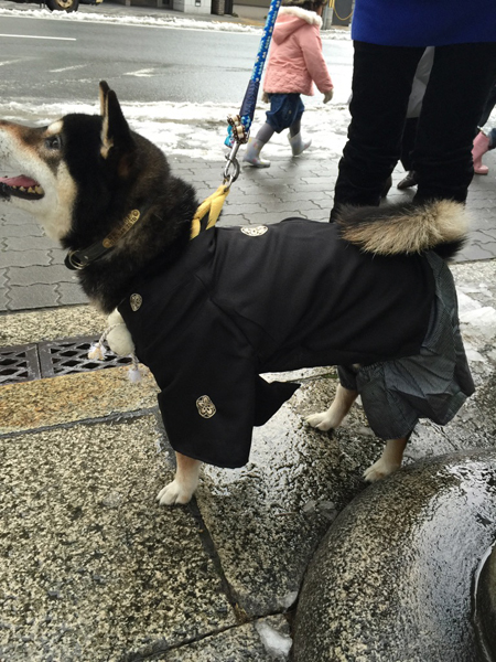 20150103-IMG_3768.jpg