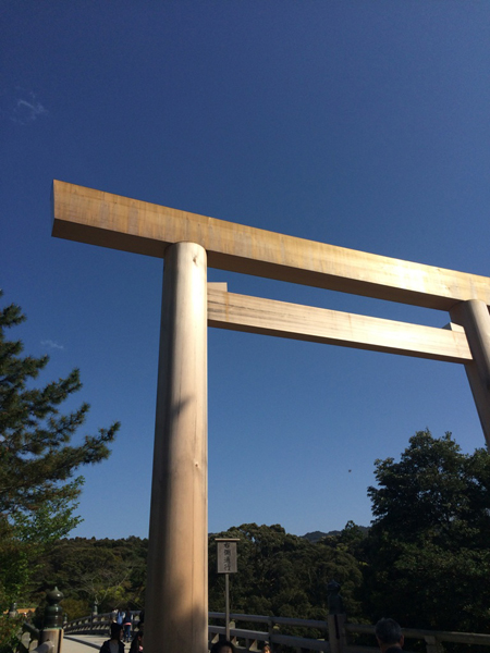 20150503-gaikuu.jpg