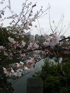 20130420-20130420_000721.jpg