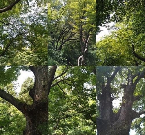 20130818-IMAG0323.jpg