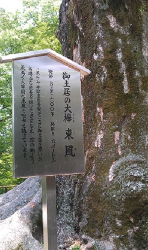 20130818-IMAG0335.jpg