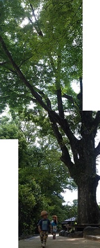 20130818-IMAG0339.jpg