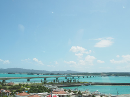 20130908-P9040634.JPG