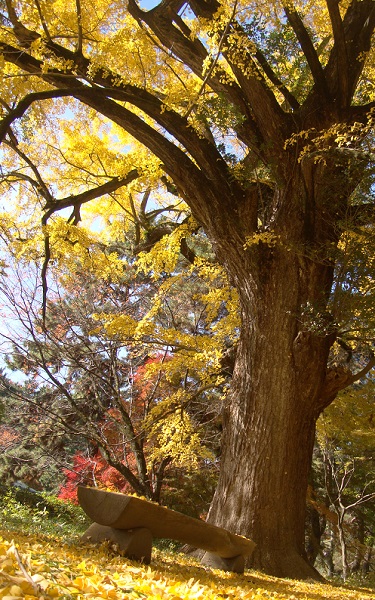 20130930-DSC03033.jpg