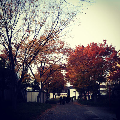 20131129-IMG_20131124_161424.jpg