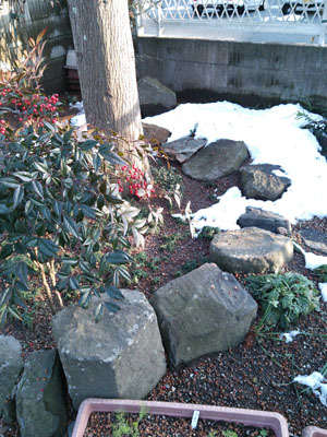 20140111-DSC_0379.JPG