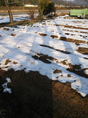 20140111-DSC_0380.JPG