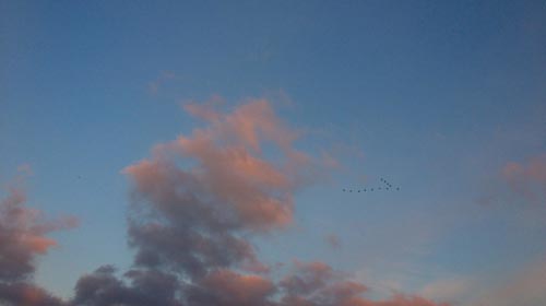 20140119-IMG_5100.JPG