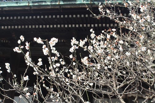20140401-IMG_3513.JPG