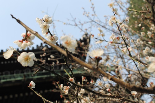 20140401-IMG_3514.JPG