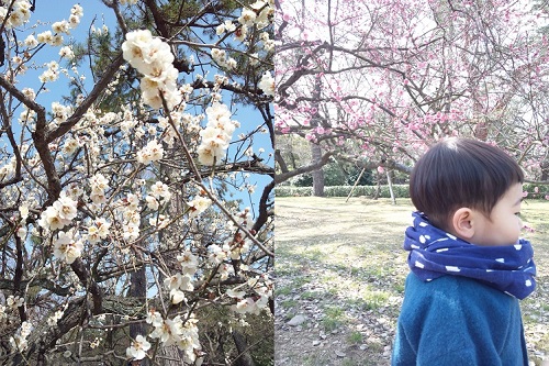 20140412-140309_124931.jpg