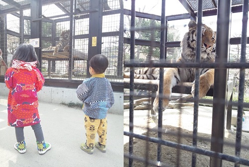 20140412-140412_101407.jpg