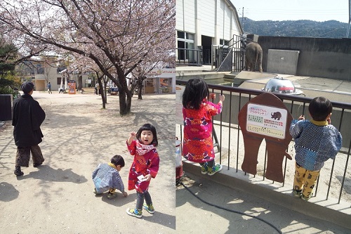 20140412-140412_101752.jpg