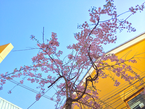 20140413-IMG_0564.JPG