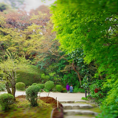 20140601-140420_103014.jpg