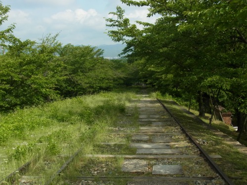 20140609-s_RIMG9423.JPG