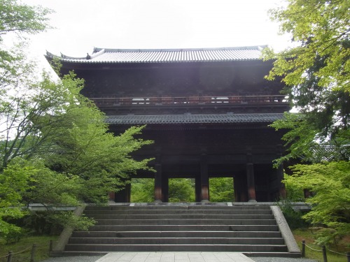 20140609-s_RIMG9427.JPG