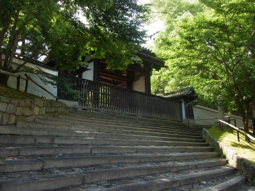 20140609-s_RIMG9450.JPG