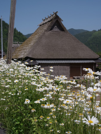 20140628-R0012985.jpg
