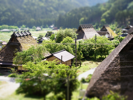 20140628-R0013005.JPG