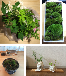 20140824-草木.jpg