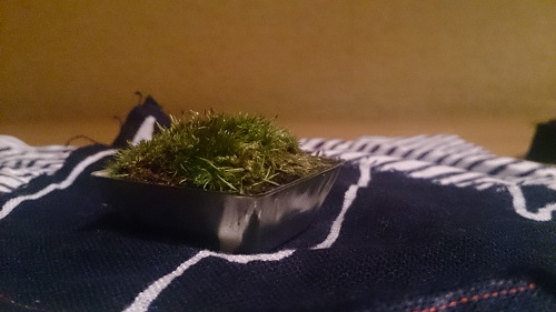 20140903-DSC_0329.jpg