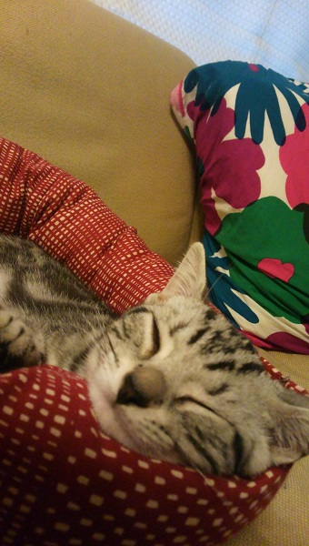 20140929-DCIM1503.JPG