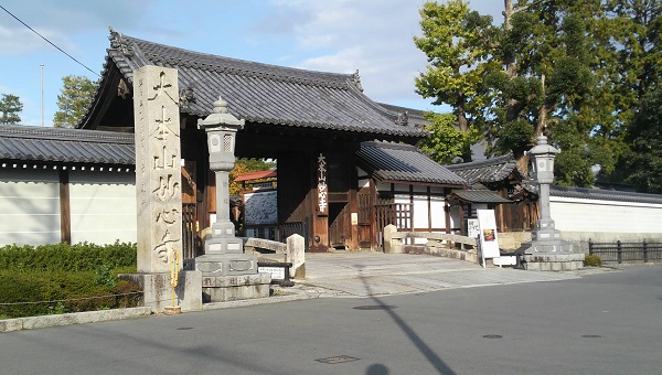 20141116-DCIM2091.JPG