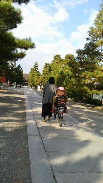 20141116-DCIM2094.JPG