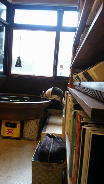 20150221-DCIM2267.JPG