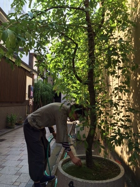 20150430-image1%5B1%5D.JPG