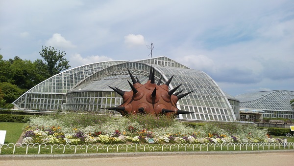 20150526-DCIM3266.JPG