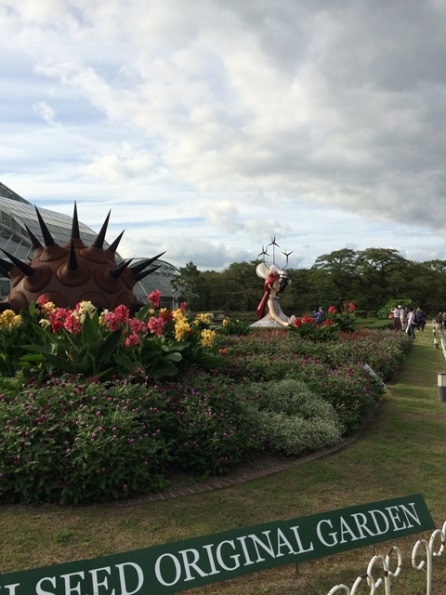 20150920-syokubutu5.JPG
