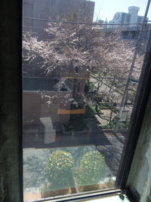 20110406-110404_130822.jpg
