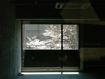 20110406-madosa.jpg