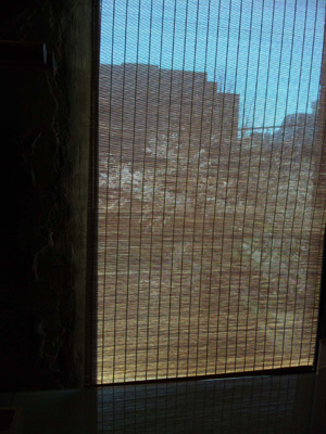 20110406-sudaresakura.jpg