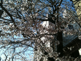 20110525-２２２２２.jpg