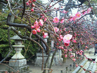 20120228-kyoto1.jpg