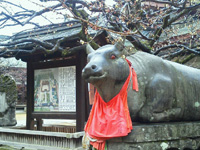 20120228-kyoto2.jpg