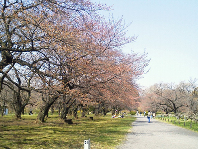 20120405-blog0407_1.jpg
