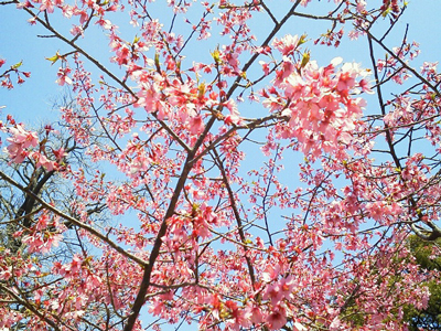20120405-blog0407_7.jpg