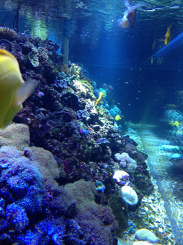 20120621-IMG_6513.jpg