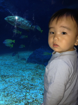 20120621-IMG_7807.jpg