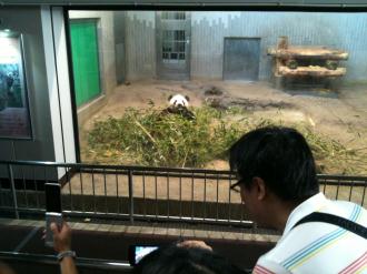 20120701-ri-ri-.jpg