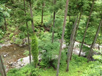 20120726-0727-3.jpg