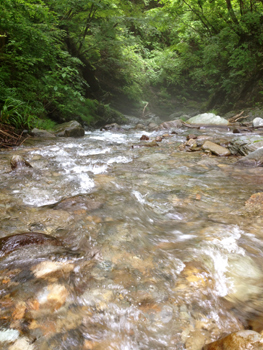 20120726-0727-4.jpg