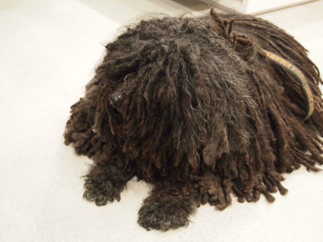 20110101-dog2.jpg